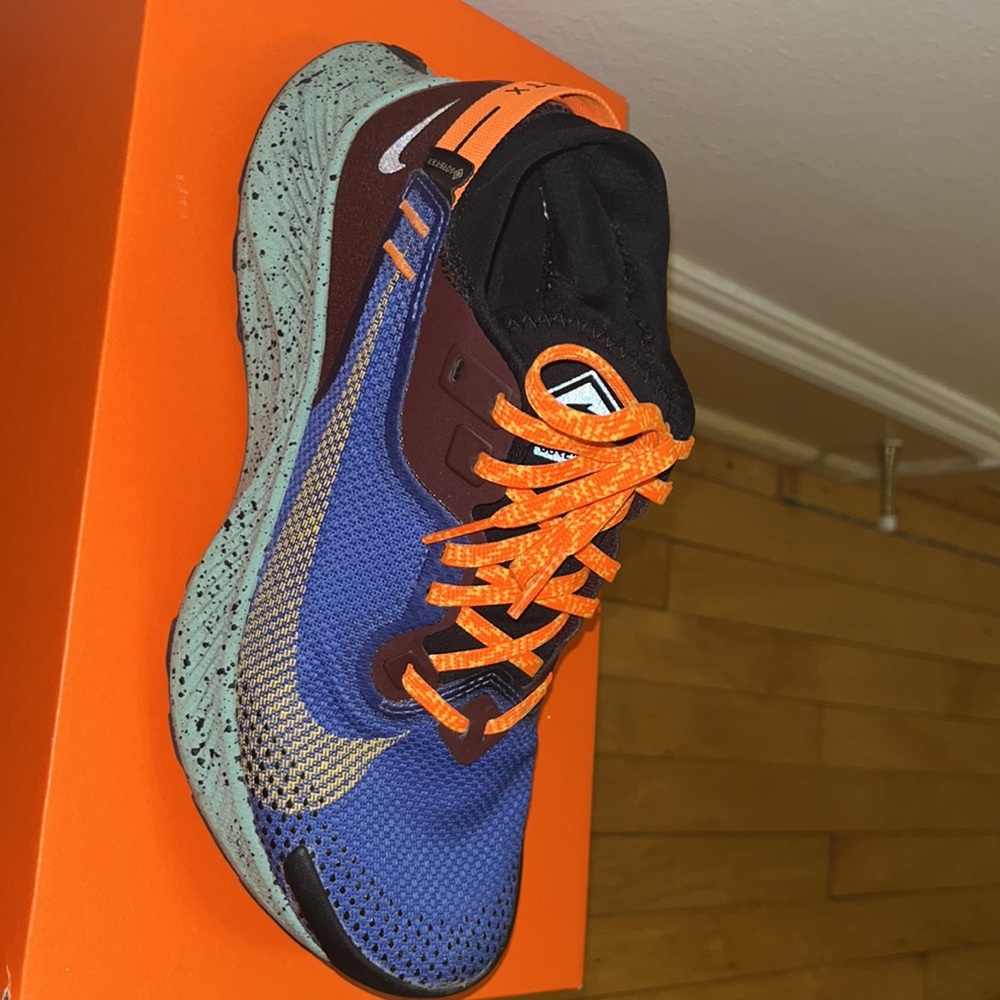 Nike Pegasus Trail GTX
